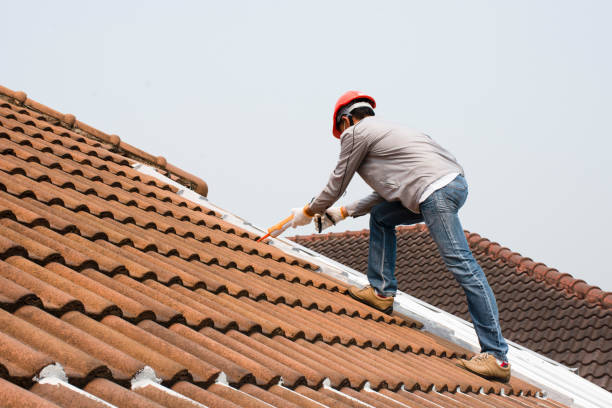 Best Wood Shake Roofing  in Lenoir City, TN