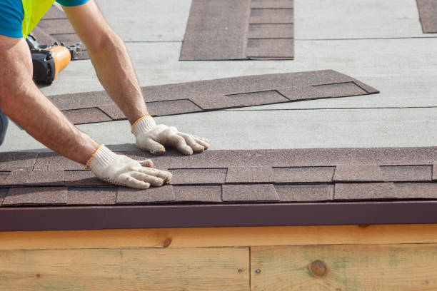 Best Solar Panel Roofing Installation  in Lenoir City, TN